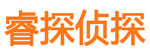 雅安侦探公司